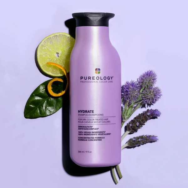 Dry Hair Shampoo