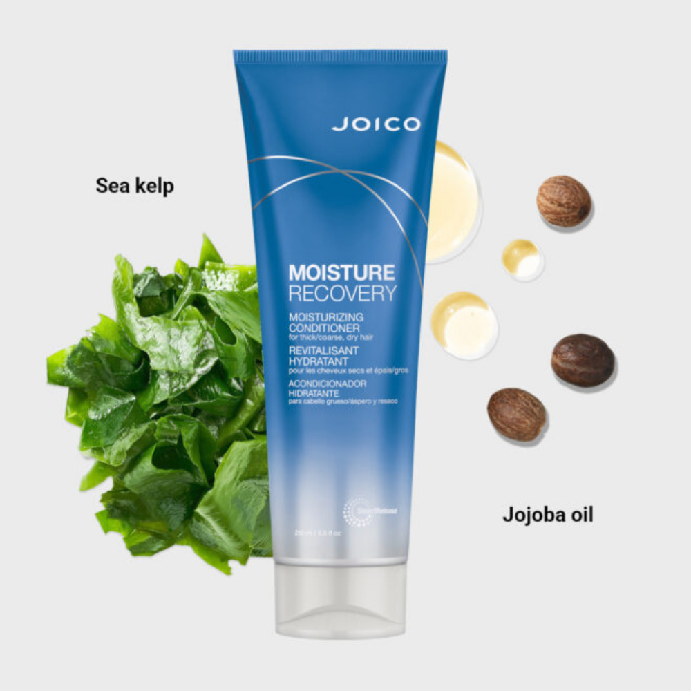 Joico Moisture Recovery Conditioner 250 mL