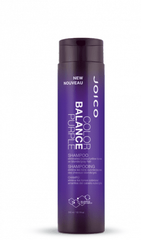 Joico Color Infuse/Balance Purple Shampoo 300 mL Hair products New Zealand | Nation wide hairdressing & hair group