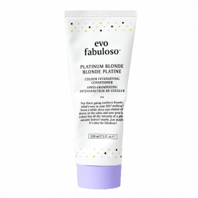Evo Fabuloso Platinum Blonde Colour Boosting Treatment 220ml