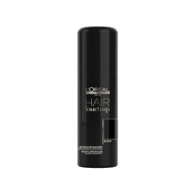 Loreal Hair Touch Up Black