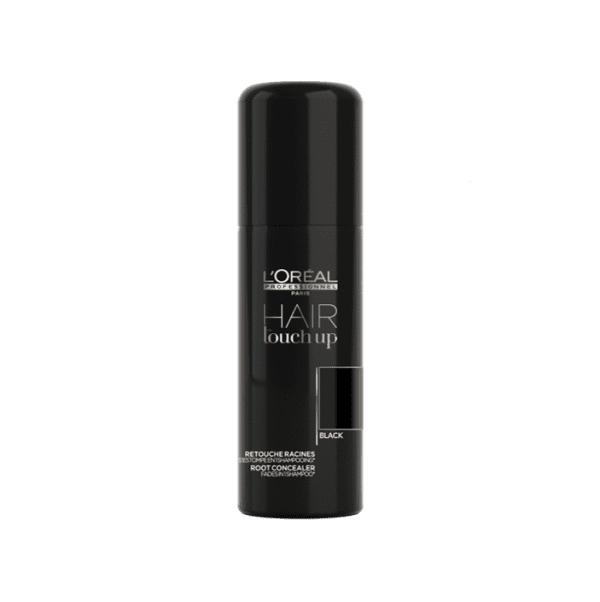 Loreal Hair Touch Up Black