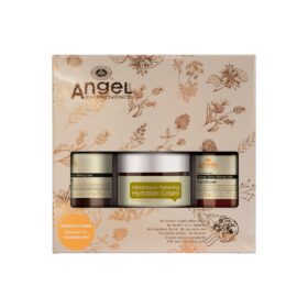 Angel Orange Flower/Cream Trio